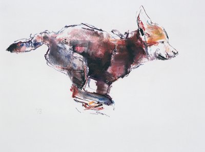 Cachorro de Lobo Corriendo de Mark Adlington