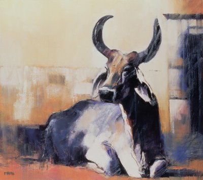 Vaca sagrada, Bhuj, 1996 de Mark Adlington