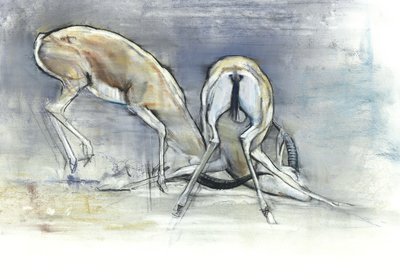 Gacelas de arena, 2009 de Mark Adlington