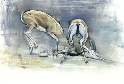 Gacelas de arena, 2009 de Mark Adlington