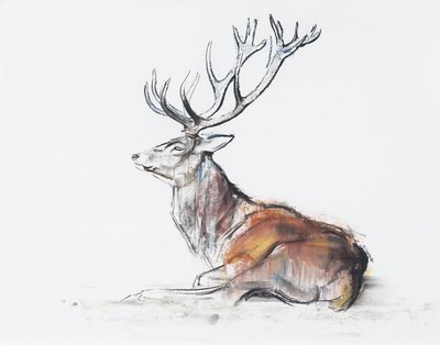 Ciervo sentado, 2006 de Mark Adlington