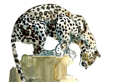 Columna (Leopardo Árabe), 2015 de Mark Adlington