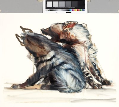 Rayas de la riña, 2010 de Mark Adlington