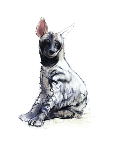 Cachorro de hiena rayada (sentado), 2010 de Mark Adlington
