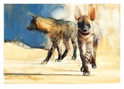 Hienas Rayadas, 2010 de Mark Adlington