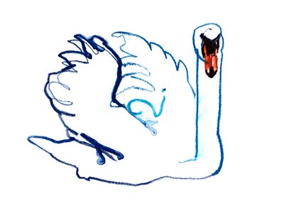 Cisne, 2021 de Mark Adlington