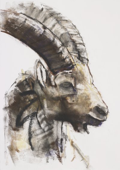 Testa, 2005 de Mark Adlington