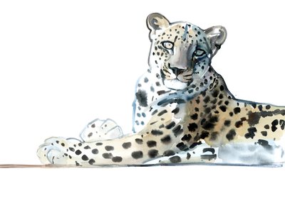 Inclinación (Leopardo Árabe), 2015 de Mark Adlington