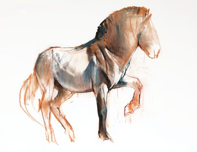 Giro (Przewalski) de Mark Adlington
