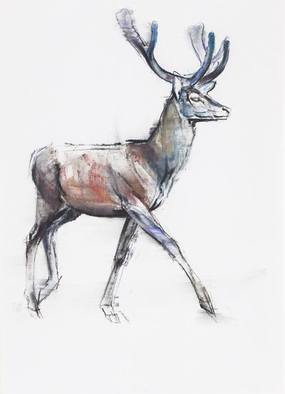 Terciopelo de Mark Adlington