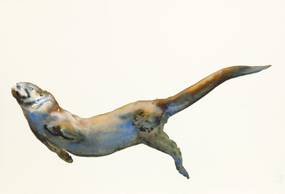 Terciopelo, 2014 de Mark Adlington