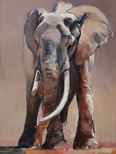 Venerable vieja matriarca, 2018 de Mark Adlington