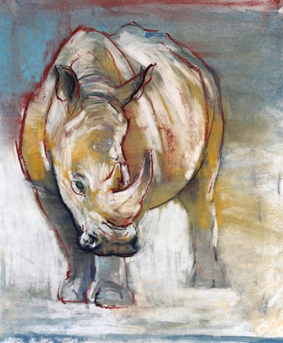 Rinoceronte blanco, Ol Pejeta, 2018 de Mark Adlington