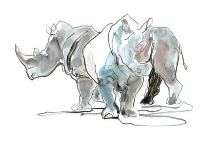 Rinocerontes blancos, Monte Etjo, 2020 de Mark Adlington