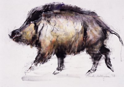 Jabalí, 1999 de Mark Adlington