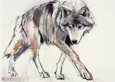 Lobo de Mark Adlington