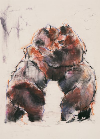 Lucha de Mark Adlington