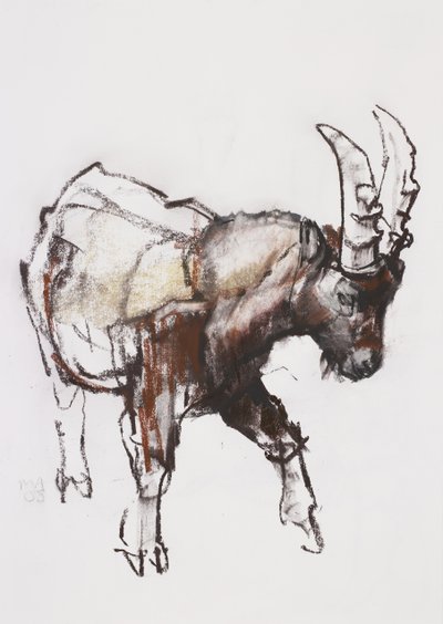 Joven Íbice, Gran Paradiso, 2005 de Mark Adlington