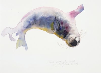 Joven foca gris, Gweek, 2003 de Mark Adlington