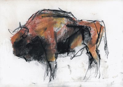 Zubre, Bialowieza de Mark Adlington