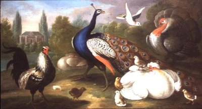 Un pavo real, pavo, gallina, gallo y paloma junto a un río de Marmaduke Craddock