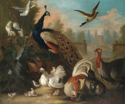 Un pavo real y otras aves en un paisaje ornamental de Marmaduke Cradock