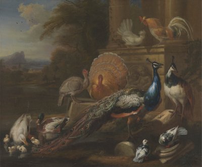 Pavos reales, palomas, pavos, gallinas y patos junto a una ruina clásica de Marmaduke Cradock