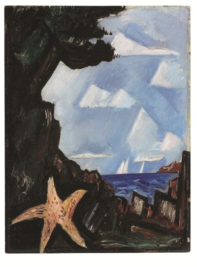 Vista al mar--Starfish, Nueva Inglaterra de Marsden Hartley