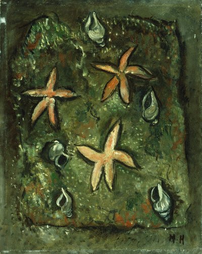 Estrellas de mar y conchas de Marsden Hartley