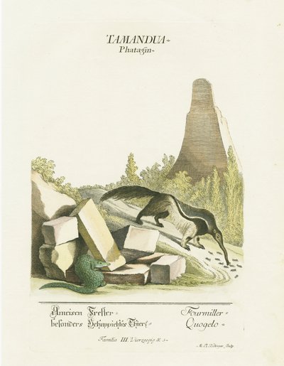  de Martin Elias Ridinger