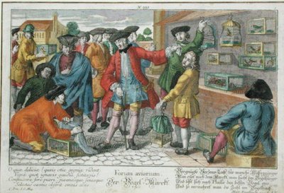 Mercado de Pájaros de Martin Engelbrecht