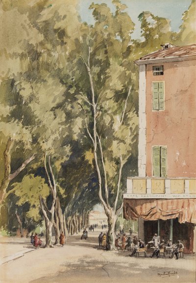 Una avenida de plátanos, Vaison