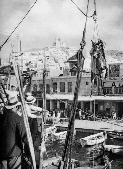 El embarque de mulas, Isla de Syros, Grecia, 1937 de Martin Hurlimann