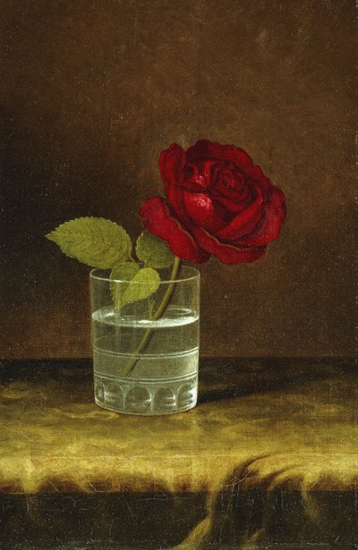 Una rosa roja de Martin Johnson Heade