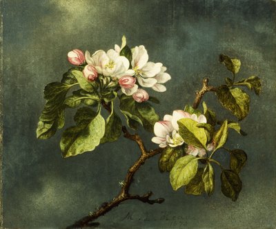 Flores de manzano de Martin Johnson Heade