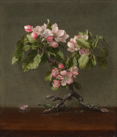 Flores de manzano, 1873 de Martin Johnson Heade