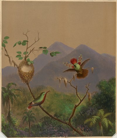 Colibríes brasileños III de Martin Johnson Heade