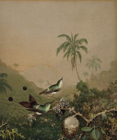 Colibríes brasileños II, c. 1864-1865 de Martin Johnson Heade