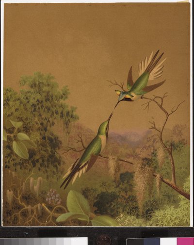 Colibríes brasileños IV de Martin Johnson Heade