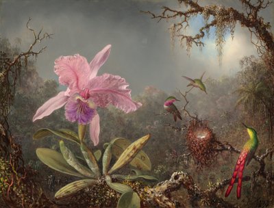 Orquídea Cattleya y Tres Colibríes de Martin Johnson Heade