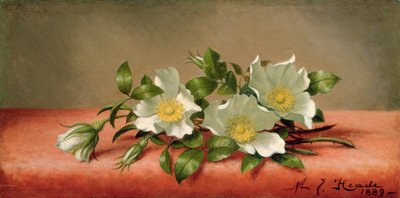 Rosas Cherokee, 1889 de Martin Johnson Heade