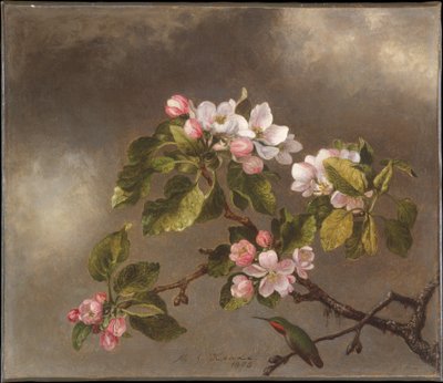  de Martin Johnson Heade