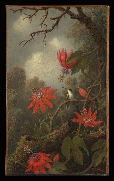 Colibrí y flores de la pasión de Martin Johnson Heade