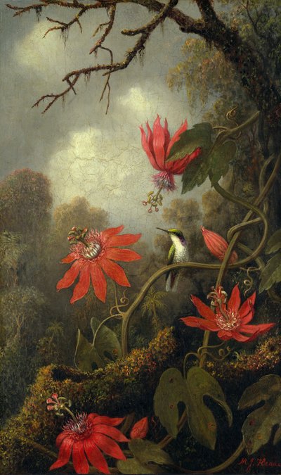 Colibrí y flores de la pasión, ca. 1875-85 de Martin Johnson Heade