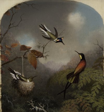 Colibríes: Dos joyas del sol y un topacio carmesí, 1866 de Martin Johnson Heade