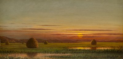 Pantanos de Martin Johnson Heade