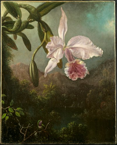 Flores de orquídea, 1873 de Martin Johnson Heade