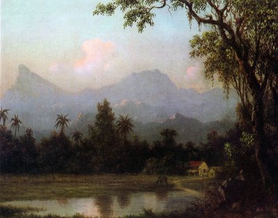 Río de Janeiro, Brasil, c.1865 de Martin Johnson Heade