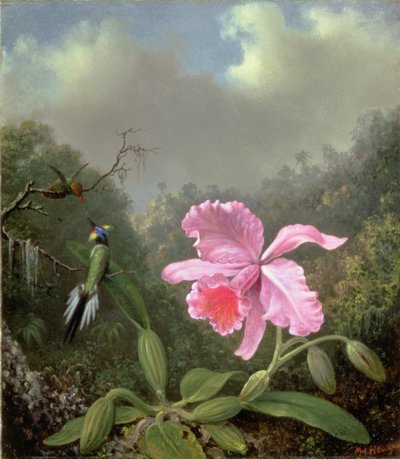 Naturaleza Muerta con una Orquídea y un Par de Colibríes, c.1890s de Martin Johnson Heade