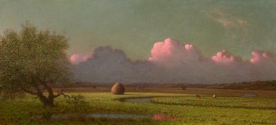Luz solar y sombra: las marismas de Newbury de Martin Johnson Heade